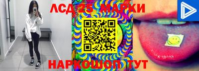 кокс Донской