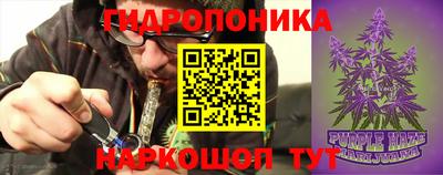 кокс Донской