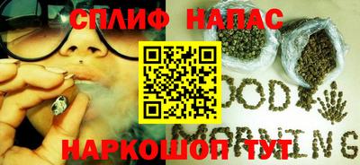гидропоника Дубна