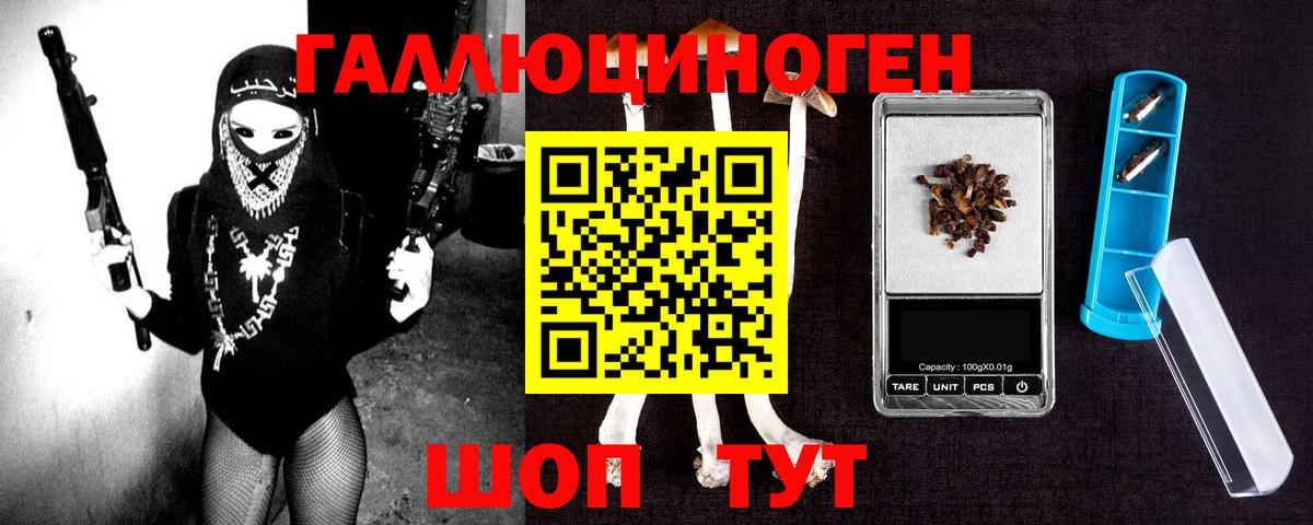 Камышлов  Псилоцибиновые грибы прущие грибы  Вход с VPN 